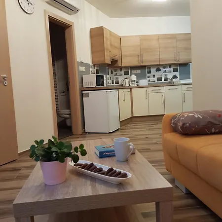 Silver Lodge Apartments Eger Room photo